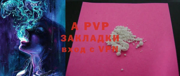 дурь Няндома