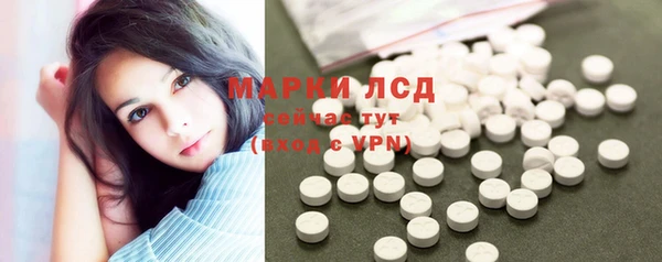 дурь Няндома