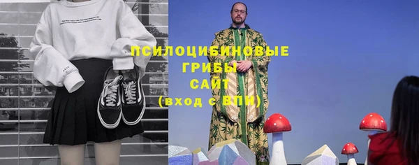 стафф Новокубанск