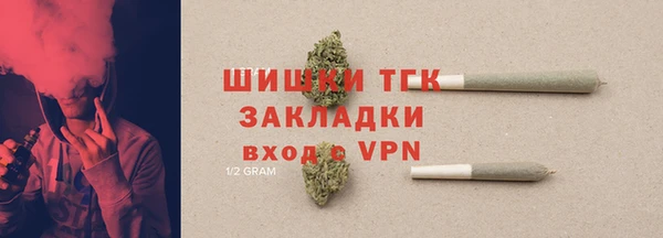 стафф Новокубанск