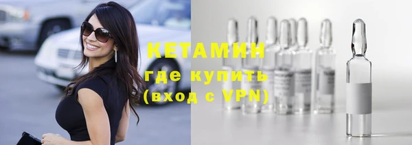 дурь Няндома
