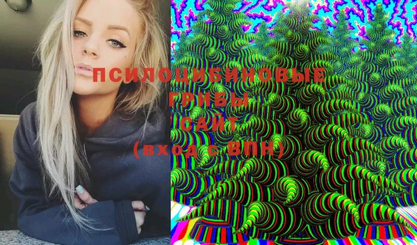 дурь Няндома